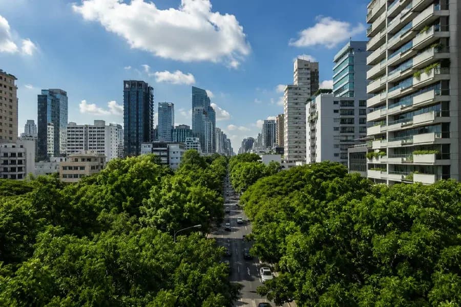 🌳درختها میتوانند دمای شهر را پایین بیاورند